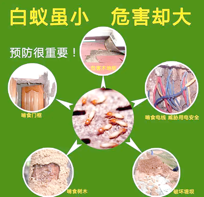 植物驱避剂防治白蚁的配方