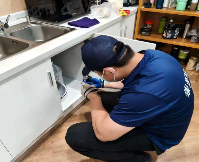 蟑螂怎么消灭最彻底