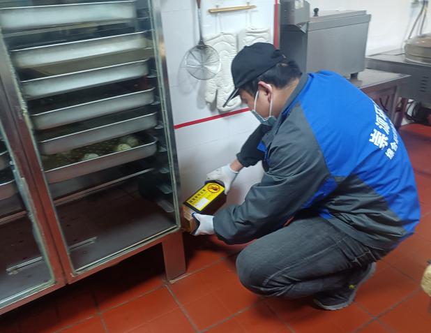 酒店老鼠跑光光!消杀公司亲授灭鼠经验,收藏!