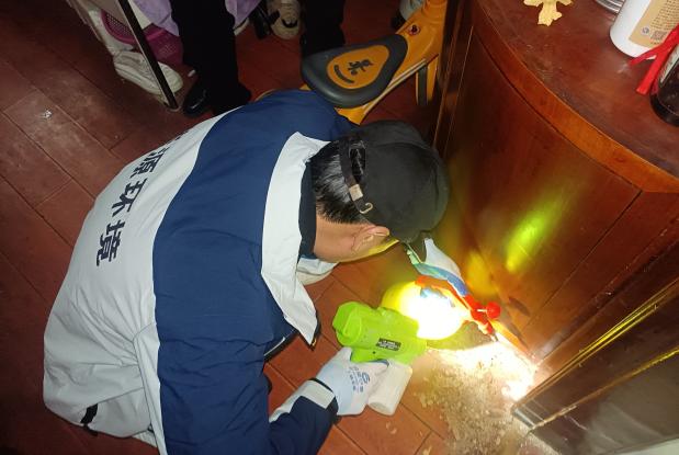 手把手教你查找白蚁痕迹,轻松实现早期防治!