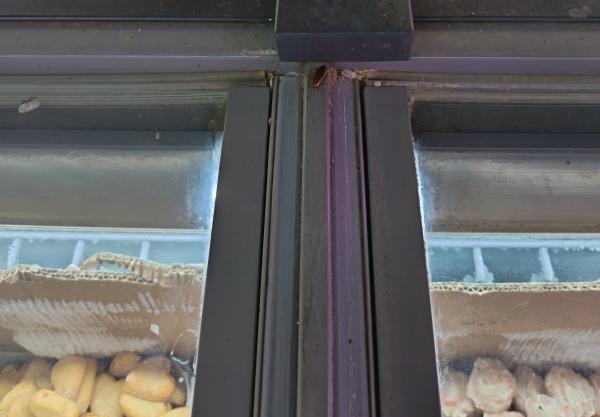 无锡灭蟑:随手拍下超市冰柜角落,求心理阴影!