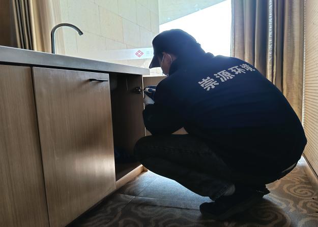 酒店灭蟑螂指南：注意这几点，再不怕客人投诉！