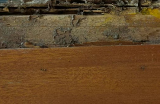 [list:title,无锡白蚁防治中心,无锡白蚁防治公司,无锡灭老鼠公司电话]