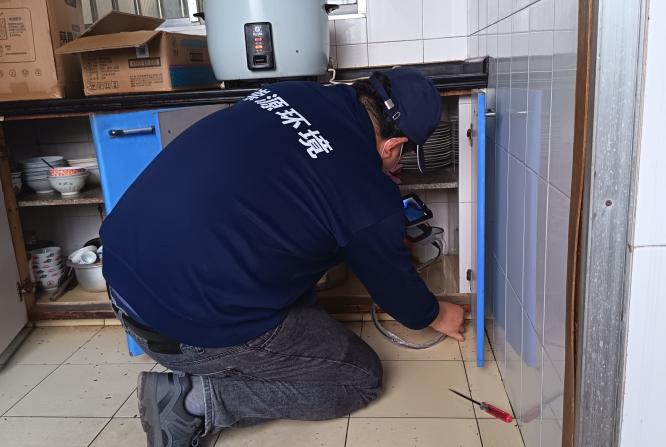 3小时紧急灭蚁！工厂白蚁防治全过程分享