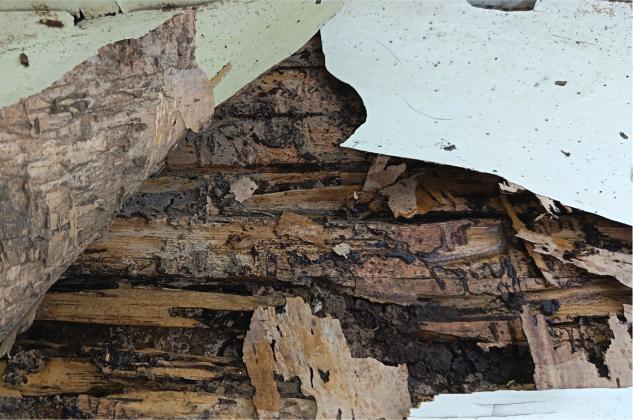 [list:title,无锡白蚁防治中心,无锡白蚁防治公司,无锡灭老鼠公司电话]