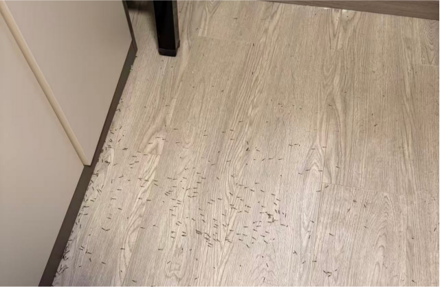 [list:title,无锡白蚁防治中心,无锡白蚁防治公司,无锡灭老鼠公司电话]