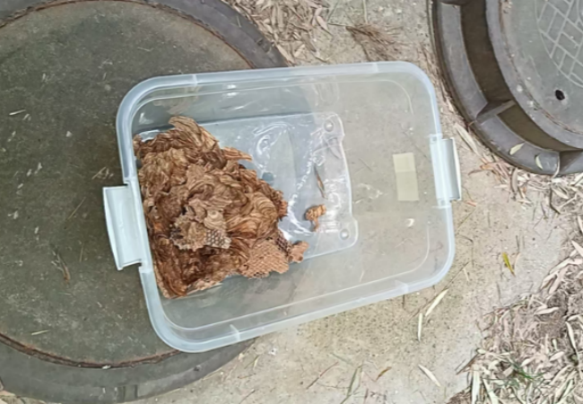 崇源环境摘马蜂窝